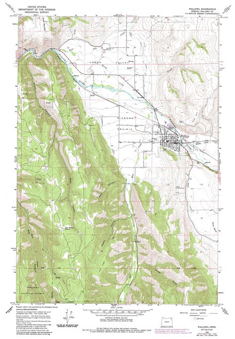 Wallowa topographic map, OR - USGS Topo Quad 45117e5