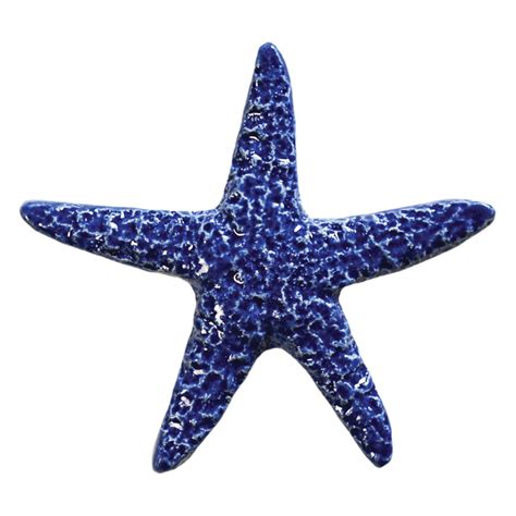 STARFISH BLUE (STABLUB) 5" - POOLS & SURFACES DISTRIBUTOR