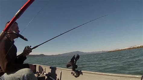 Perch Fishing in the bayarea 3/1/2013 - YouTube