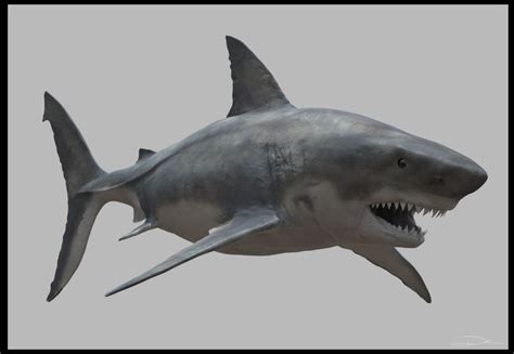 Kirouac Learns To Sculpt: Shark Texture WorkInProgress