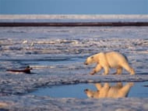 Evidence of climate change 'unequivocal': UN report | CBC News