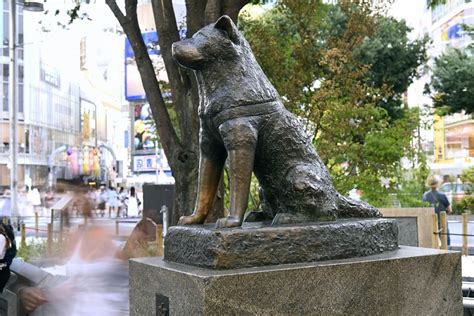 Why is there a Shibuya Dog Statue?