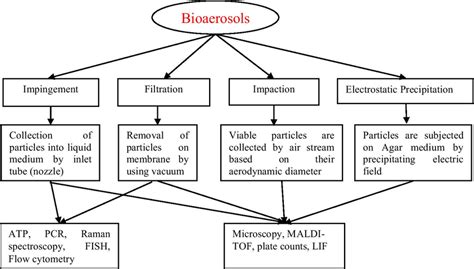 Bioaerosols sampling methods and identification by using different... | Download Scientific Diagram