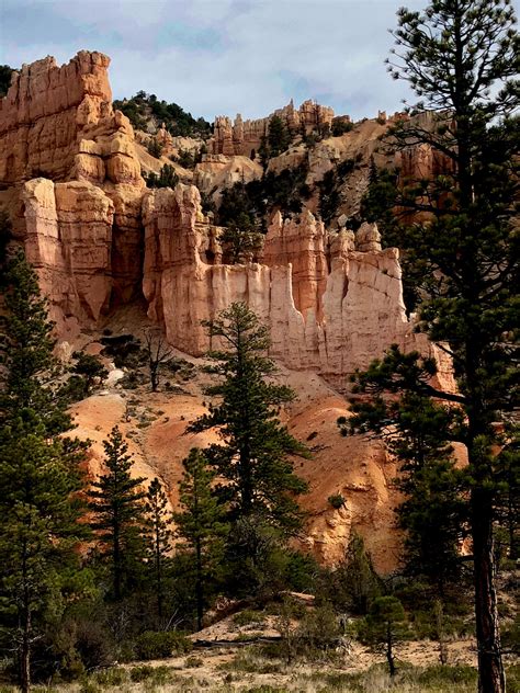 Bryce Canyon National Park - Fairyland Loop - Grey Otter OUTventures®