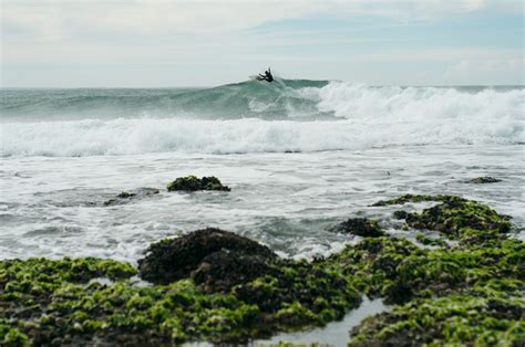 Patagonia Surf . Trip :: Behance