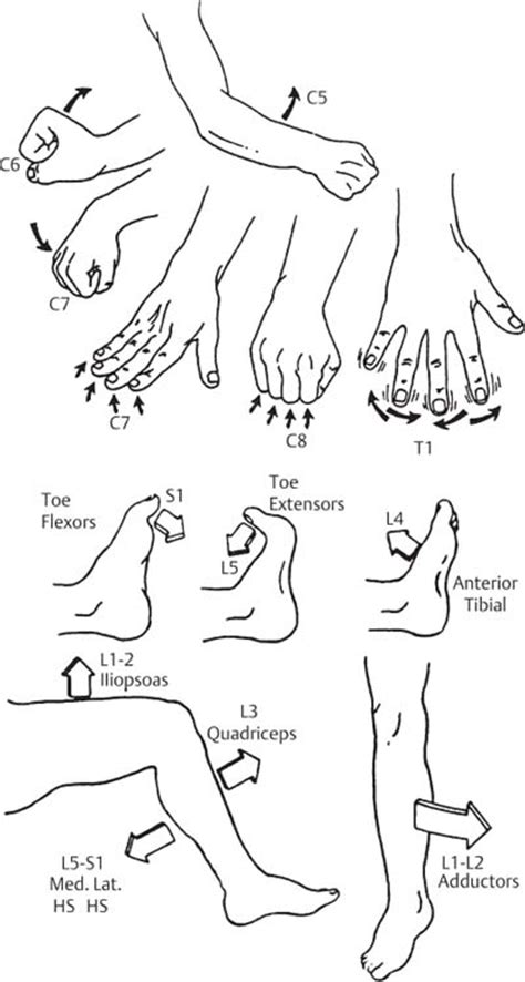 History and Physical Examination | Neupsy Key