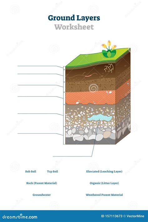 Ground Layers Worksheet Vector Illustration. Soil Surface Blank Template. | CartoonDealer.com ...