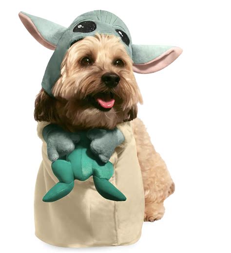 OK. Disney's Baby Yoda Pup Costume WINS Halloween This Year | the ...