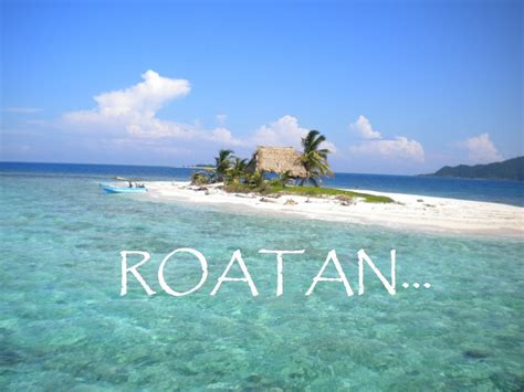 2016 Roatan Dive Trip – 7 nights All-Inclusive* – SinCityScuba