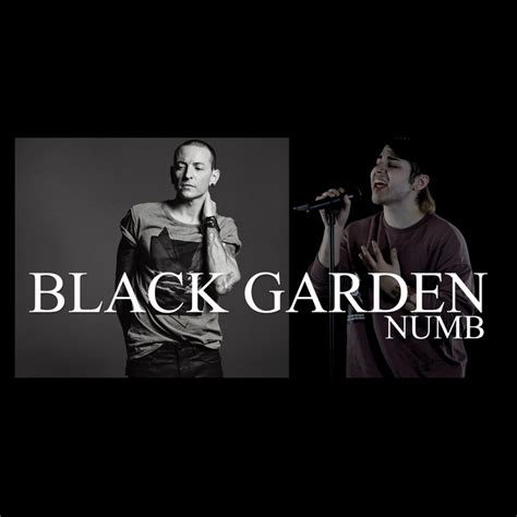 NUMB(LINKIN PARK COVER) | Black Garden