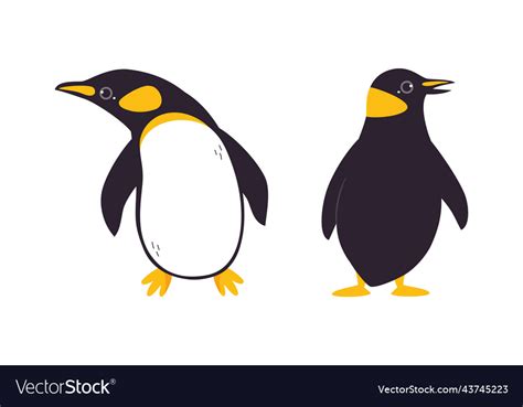 Emperor penguin front abd back view cute Vector Image