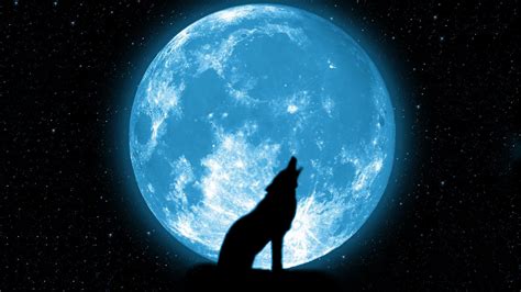 Wolf Full Moon Wallpaper - WallpaperSafari