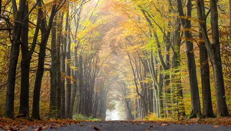 Picture of the Day: Long Talks and Autumn Walks » TwistedSifter