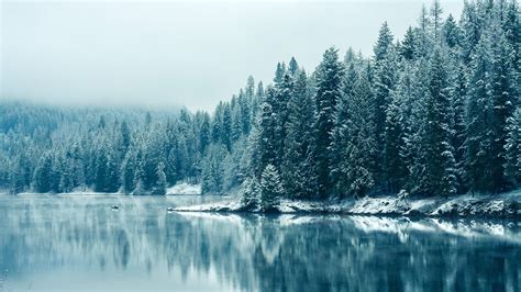 Tổng hợp 800 Desktop backgrounds aesthetic winter Chất lượng tốt, tuyệt ...