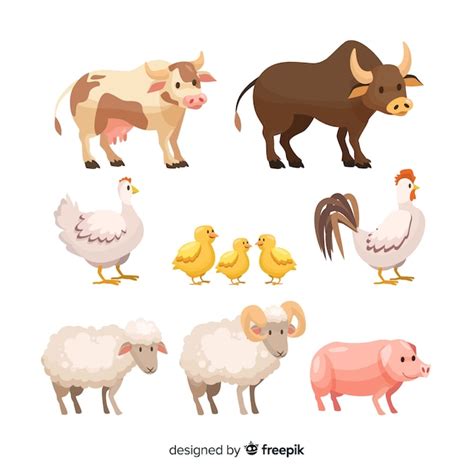 Premium Vector | Farm animal collection