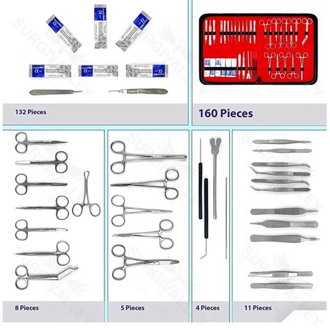 Biology Lab Anatomy Dissecting Set