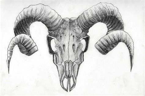 Goat Head Study by mrturtlesandwich | Tattoo goat, Ram head drawing, Goat skull tattoo