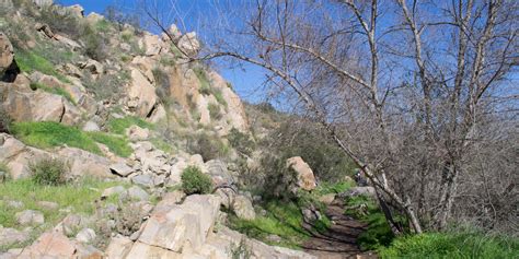 Oak Canyon + Grasslands Crossing Loop, Mission Trails Regional Park | Outdoor Project