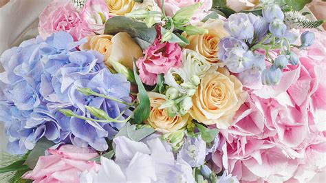 Pastel colours flowers, pastel colors, roses, HD wallpaper | Peakpx