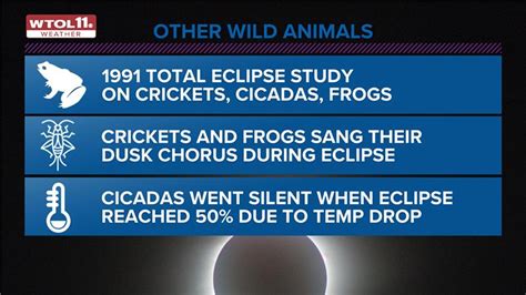 Solar eclipse and animal behavior | WTOL 11 Weather | wtol.com