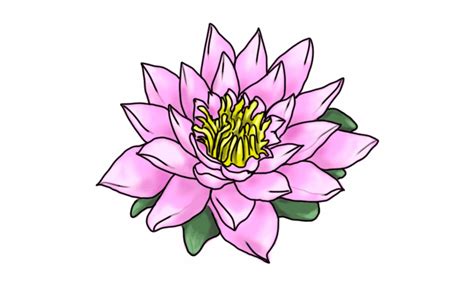 rainforest flowers clipart 10 free Cliparts | Download images on Clipground 2024