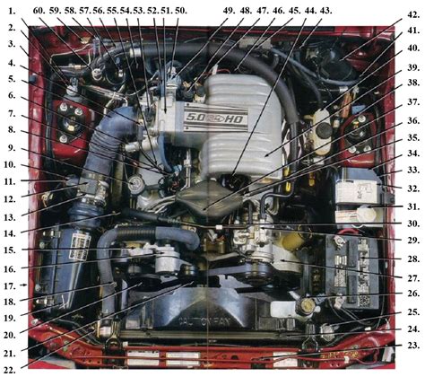 Ford Mustang 5 0 Engine Diagram