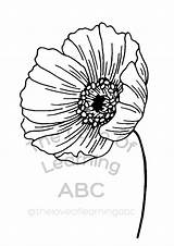 Poppy Coloring Page sketch template