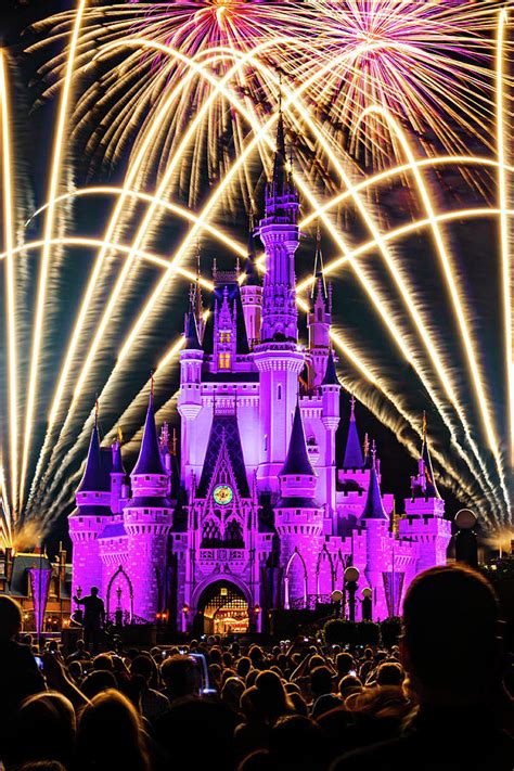 Fireworks Show at WDW Photograph by Mark Chandler - Fine Art America