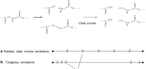 Schematic representation of the suggested polymer degradation... | Download Scientific Diagram