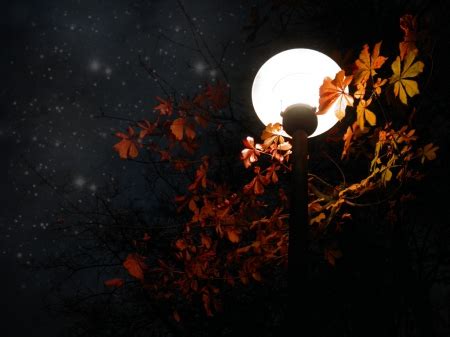 Autumn night - Photography & Abstract Background Wallpapers on Desktop ...