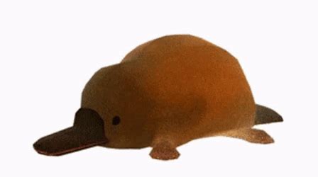 Platypus Balloon Deflating GIF | GIFDB.com