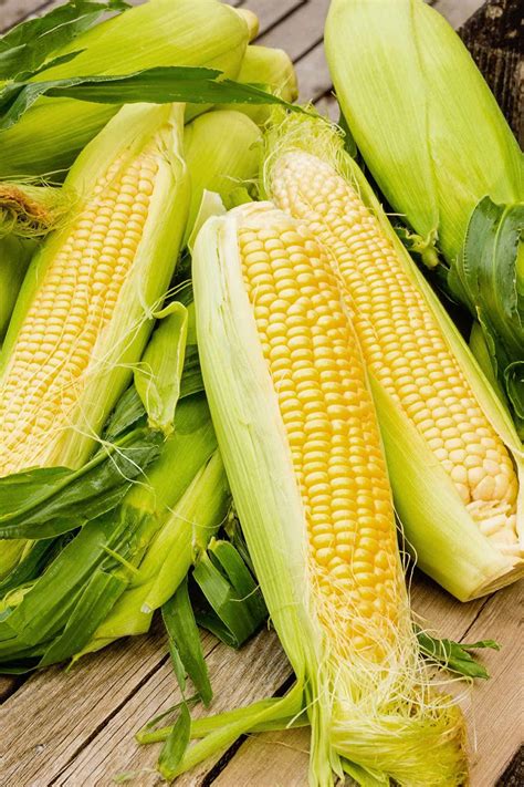 How To Cook Fresh Corn | MyGourmetConnection