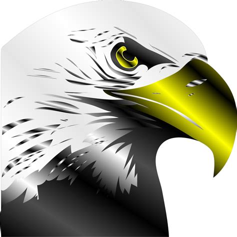 Bald Eagle PNG, SVG Clip art for Web - Download Clip Art, PNG Icon Arts