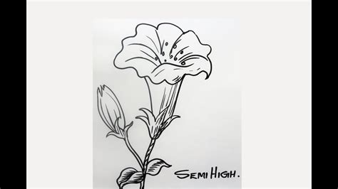 How To Draw A Realistic Flower Step By For Beginners | Best Flower Site