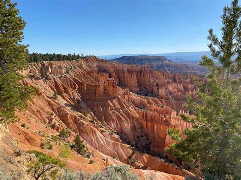 Canyon Fever Guides (Bryce Canyon City) - All You Need to Know BEFORE You Go