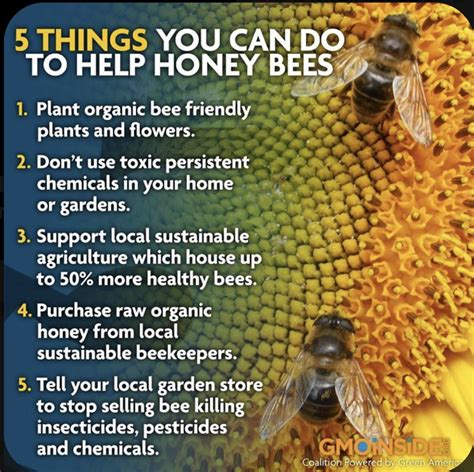 #bees #honeybee | Bee keeping, Bee, Bee friendly plants