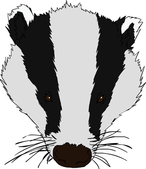 Badger PNG Transparent Images