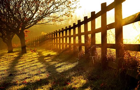 path, Leaves, Autumn, Splendor, Fall, Walk, Nature, Park, Colorful ...