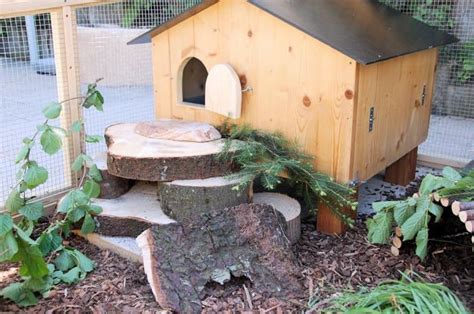 21 best Outdoor Guinea Pig Enclosure images on Pinterest | Rabbit ...