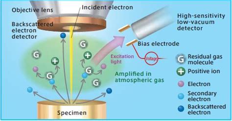 Overcome charge-up effects in Scanning Electron Microscopes (SEMs)