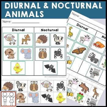 Diurnal and Nocturnal Animals - Worksheets by Catherine S | TPT