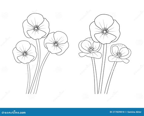 Poppy Drawing, Poppy Drawing Black And White, Realistic Poppy Flower Drawing, Outline Poppy ...