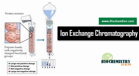 What is Ion Exchange Chromatography and its Applications?