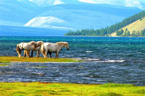 Khuvsgul Lake | Plan Your Perfect Holiday to Blue Pearl of Mongolia