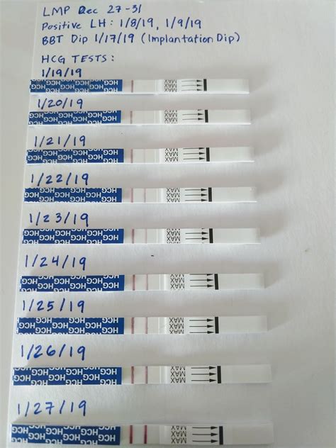 Ovulation Test Positive Early Pregnancy at Charles Champine blog