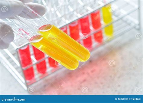 Microbiology Laboratory Test Stock Photo - Image: 43355014