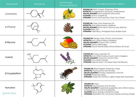 Understanding Cannabis Terpenes and Their Effects