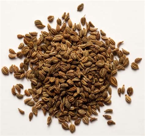 Oregano Seeds Buy Oregano Seeds in Mumbai Maharashtra India from Vedan International