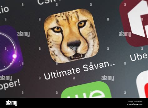 Ultimate savanna simulator hi-res stock photography and images - Alamy