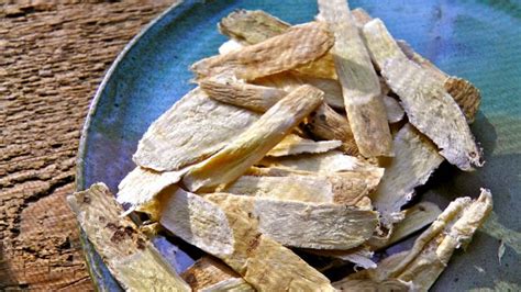 Astragalus Health Benefits